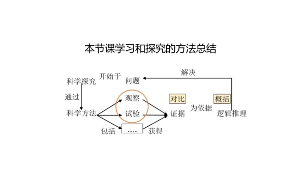 1.1.1 生物的特征 课件（共28张PPT）