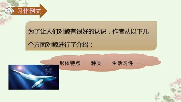 第五单元习作例文鲸