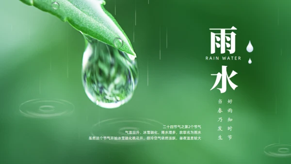 雨水绿色露水背景通用PPT模板