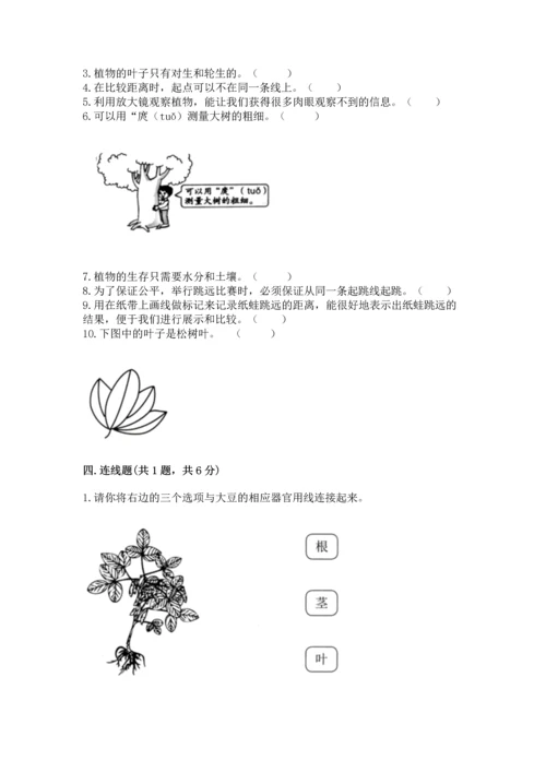 教科版科学一年级上册期末测试卷附完整答案【夺冠系列】.docx