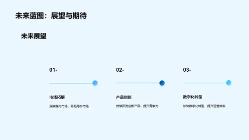 20XX年度企业回顾与展望