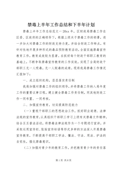 禁毒上半年工作总结和下半年计划.docx