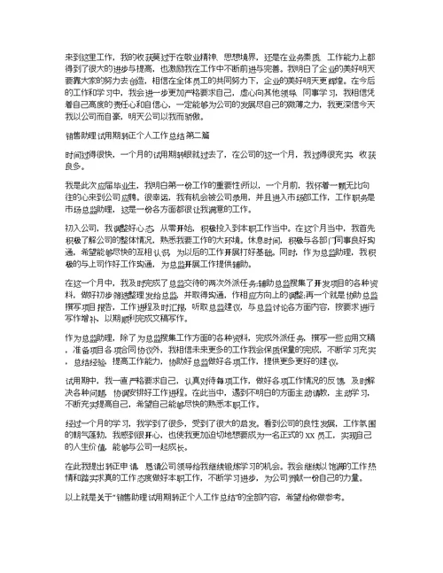 销售助理试用期转正个人工作总结