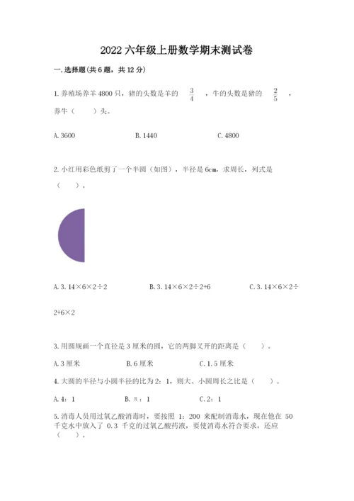 2022六年级上册数学期末测试卷附答案（巩固）.docx