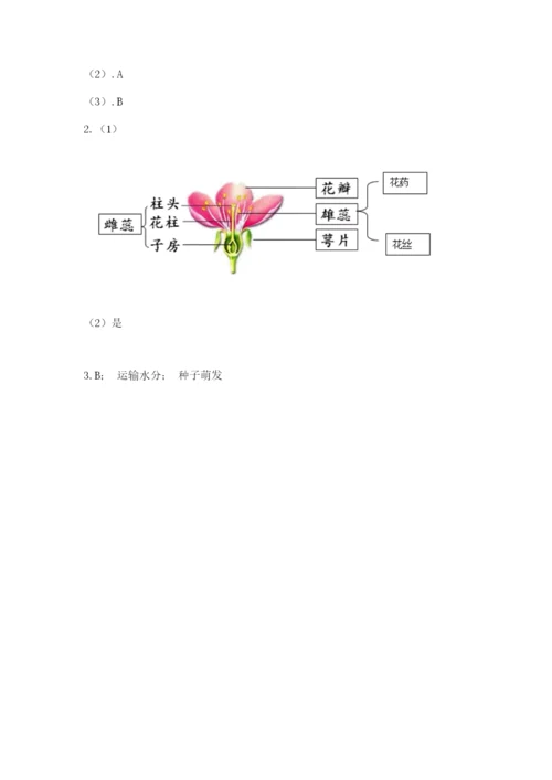 科学四年级下册第一单元《植物的生长变化》测试卷含答案【培优b卷】.docx