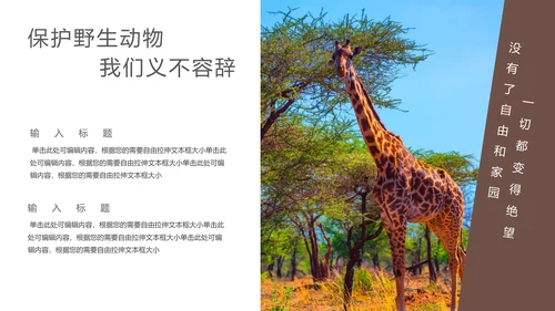 保防野生动物藏羚羊通用PPT模板