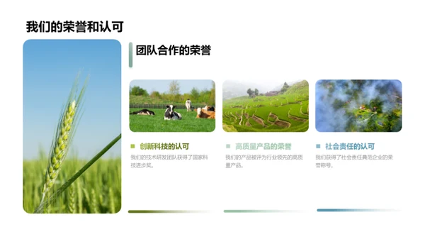 林业进步路