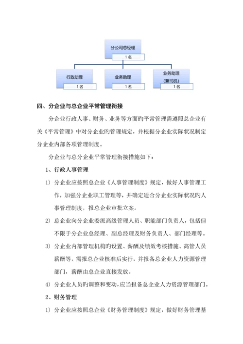 分公司筹建方案.docx
