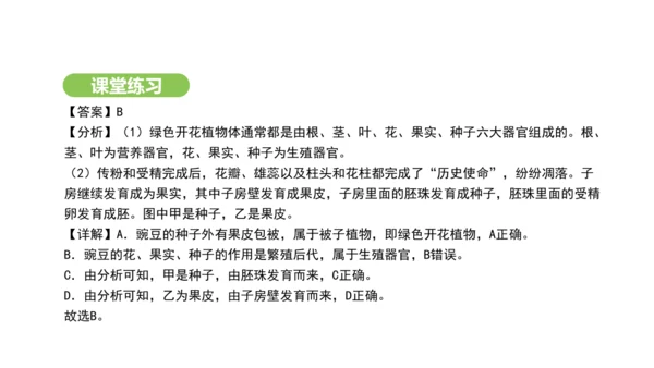 第三单元-第一章-第三节-开花和结果课件-2024-2025学年七年级生物下学期人教版(2024)(