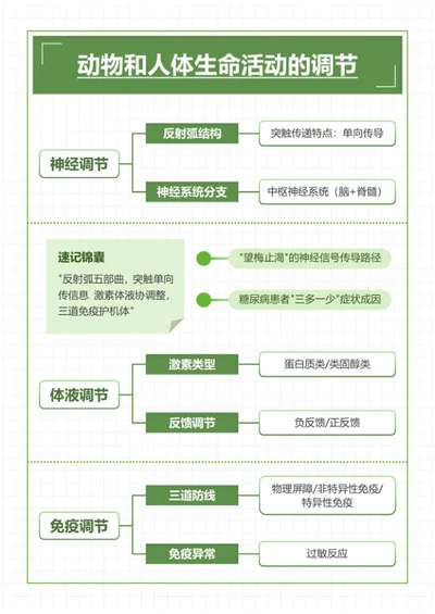 学习笔记-高中生物绿色简约word模板