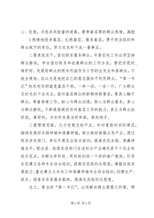 学习第一书记心得体会精选.docx