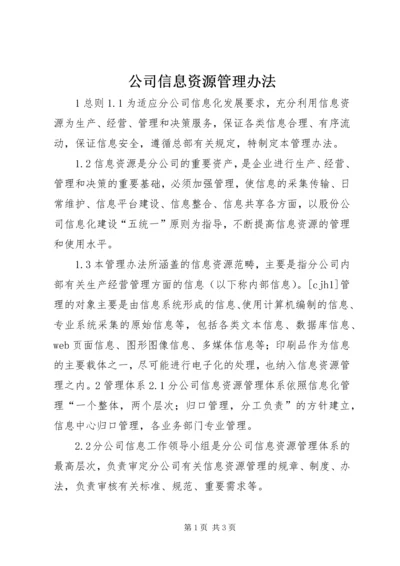 公司信息资源管理办法 (6).docx