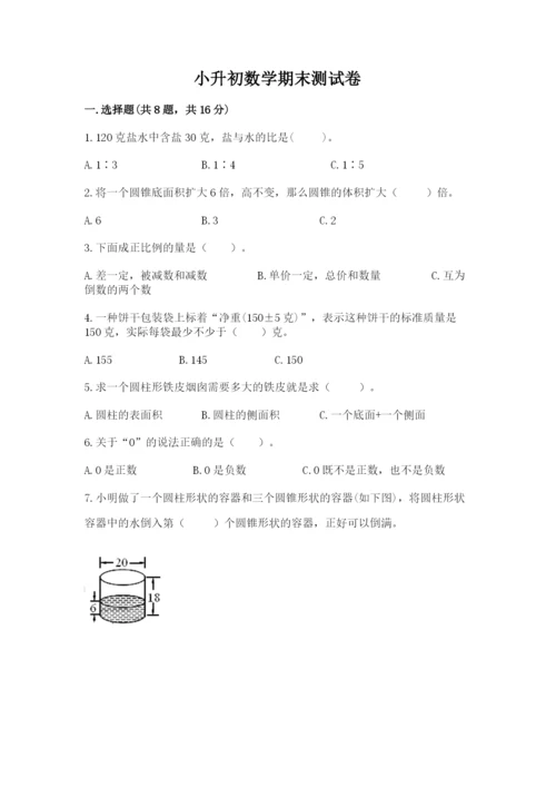 小升初数学期末测试卷完美版.docx