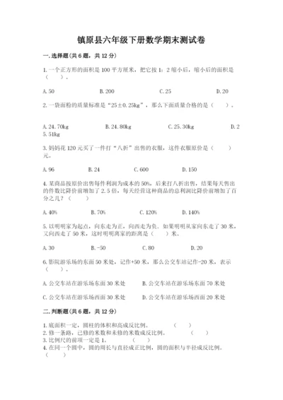 镇原县六年级下册数学期末测试卷学生专用.docx