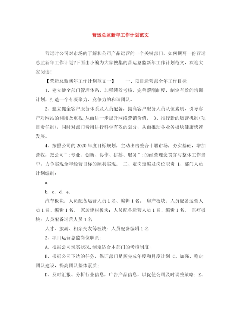 精编之营运总监新年工作计划范文.docx