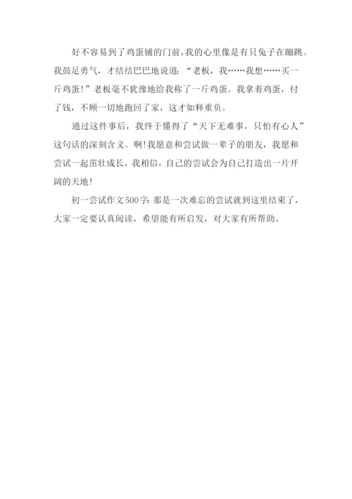 初一尝试作文500字：那是一次难忘的尝试.docx