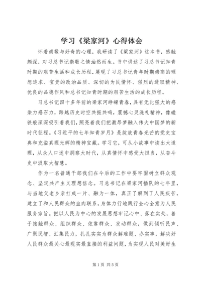 学习《梁家河》心得体会 (13).docx