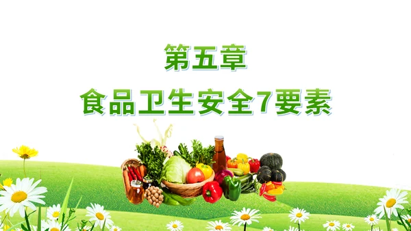全国食品安全宣传周《食品卫生法》宣传周菜篮子通用PPT模板