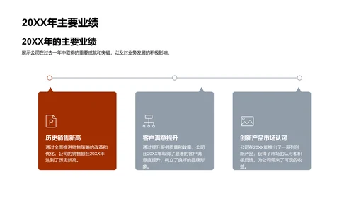 20XX年度保险成就概览