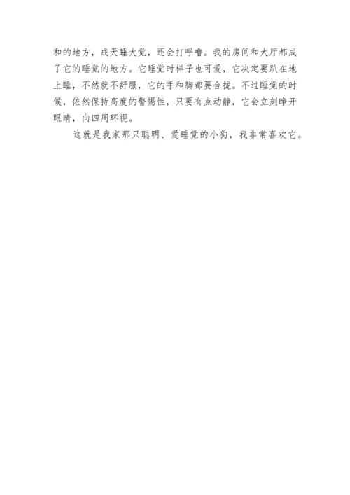 介绍一种事物的五年级作文（精选7篇）.docx