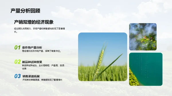 种植之道，成果之光