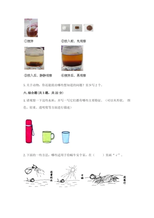 教科版一年级下册科学期末测试卷附参考答案【轻巧夺冠】.docx