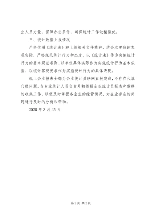乡镇规范统计数据自查报告.docx