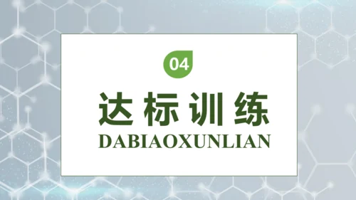 【核心素养】部编版语文四年级下册-7.纳米技术就在我们身边 第2课时（课件）
