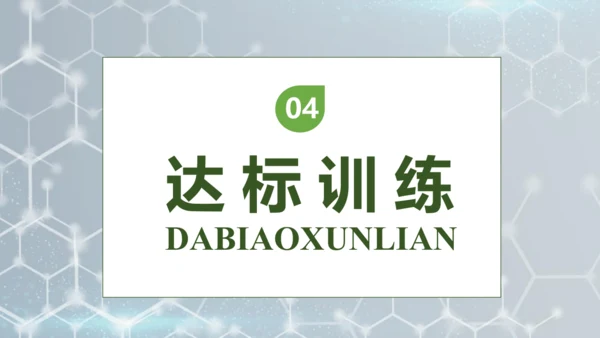 【核心素养】部编版语文四年级下册-7.纳米技术就在我们身边 第2课时（课件）