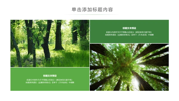 绿色环保森林湿地森林日植树造林动态PPT模