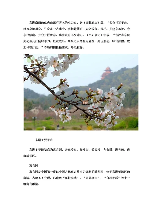 湖北武汉东湖风景区介绍