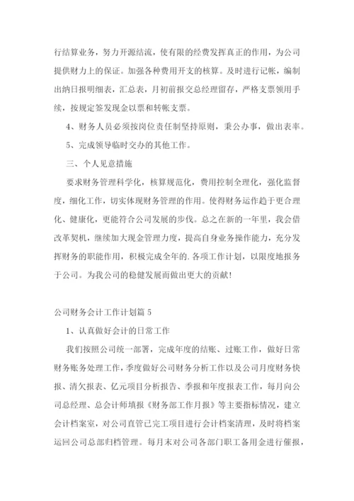 公司财务会计工作计划.docx