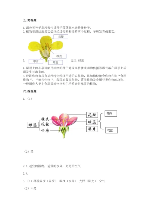 教科版四年级下册科学第一单元《植物的生长变化》测试卷含答案（巩固）.docx