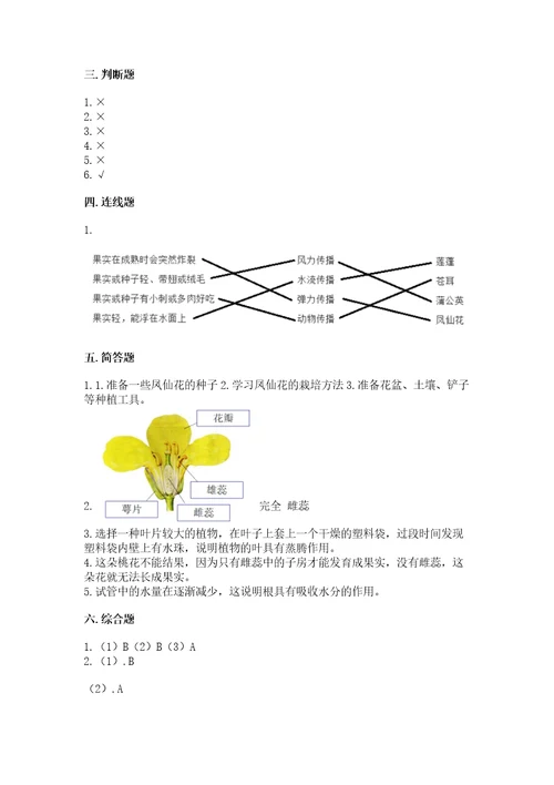 教科版科学四年级下册第一单元植物的生长变化测试卷及答案基础提升