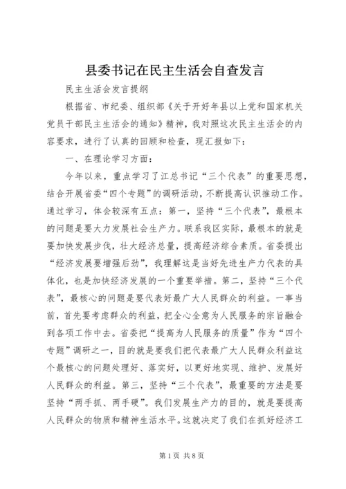 县委书记在民主生活会自查发言.docx