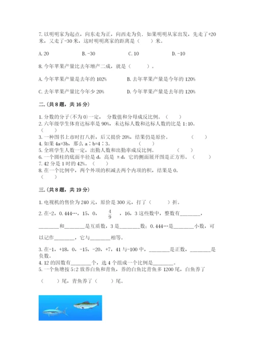 小学数学六年级下册竞赛试题附答案【精练】.docx