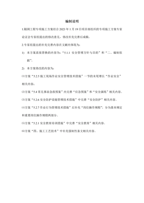 水工隧洞工程专项施工方案.docx