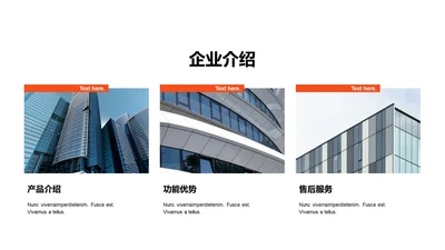 单色扁平3项企业介绍