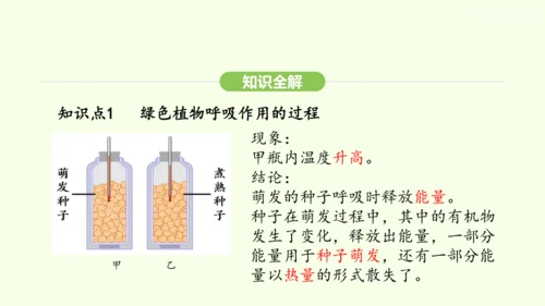 第三单元-第二章-第三节-呼吸作用课件-2024-2025学年七年级生物下学期人教版(2024)(共