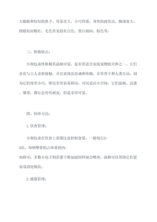 小狗包弟知识点