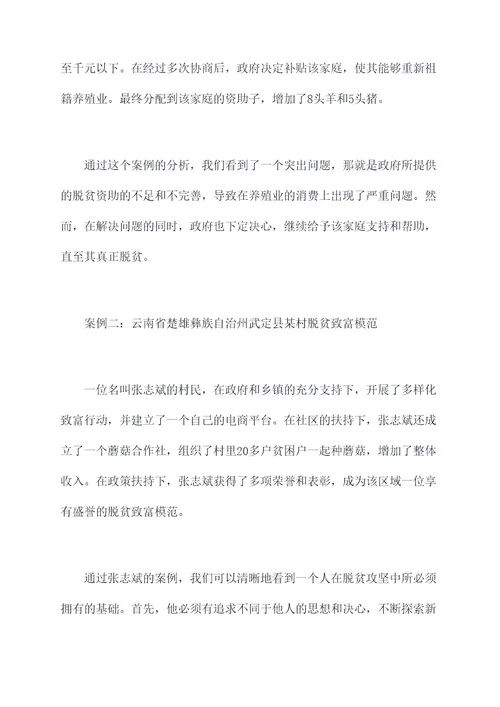 脱贫攻坚典型案件剖析材料