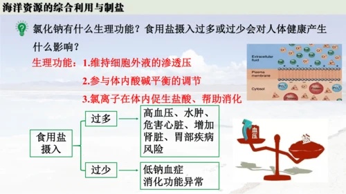 跨学科实践活动8  海洋资源的综合利用与制盐课件(共39张PPT内嵌视频)