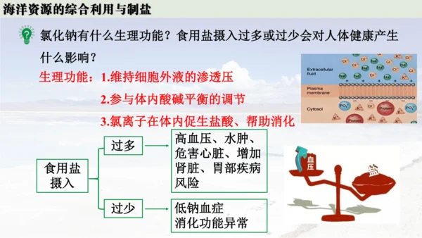 跨学科实践活动8  海洋资源的综合利用与制盐课件(共39张PPT内嵌视频)