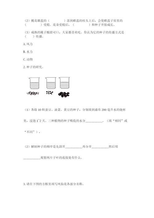 科学四年级下册第一单元《植物的生长变化》测试卷及完整答案【易错题】.docx