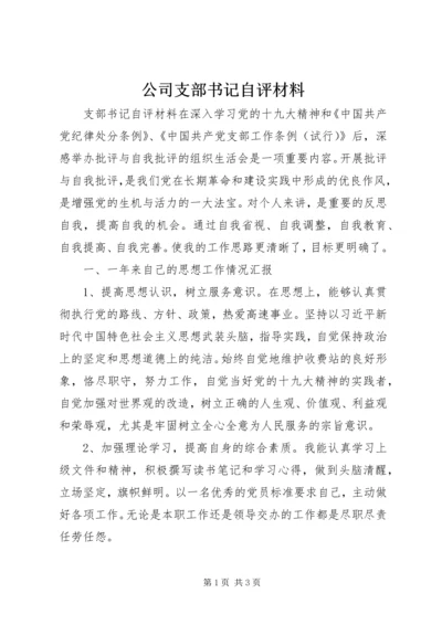 公司支部书记自评材料.docx