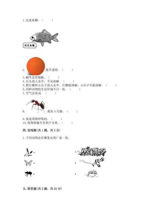教科版一年级下册科学期末测试卷及下载答案.docx