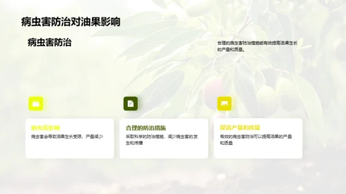 油果种植之全方位解析