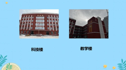 5 我们的校园