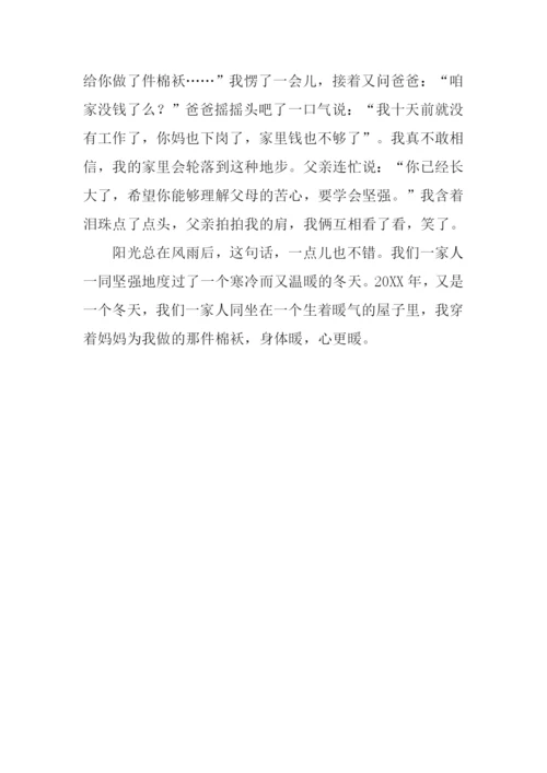 又是一个冬天作文600字.docx