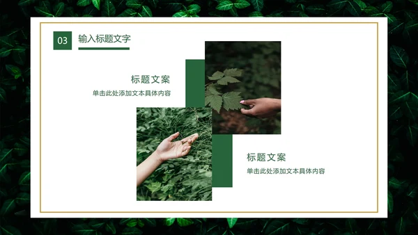 树叶草丛图清新教学PPT模板